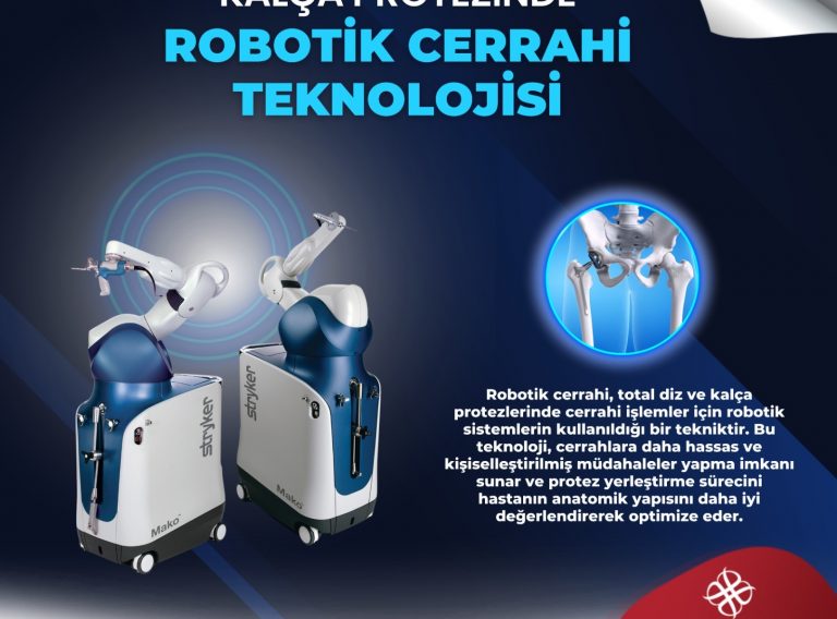 Robotik Cerrhi